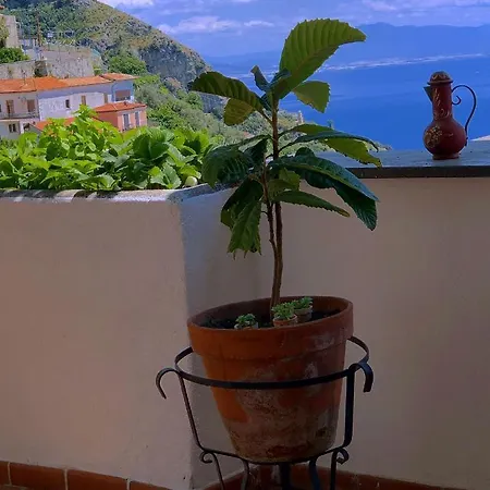 Il Casale Degli Dei *