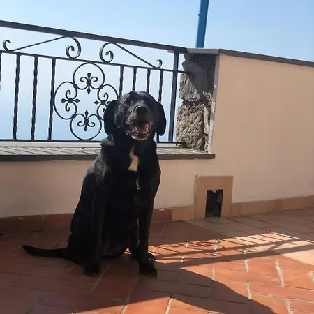 Il Casale Degli Dei